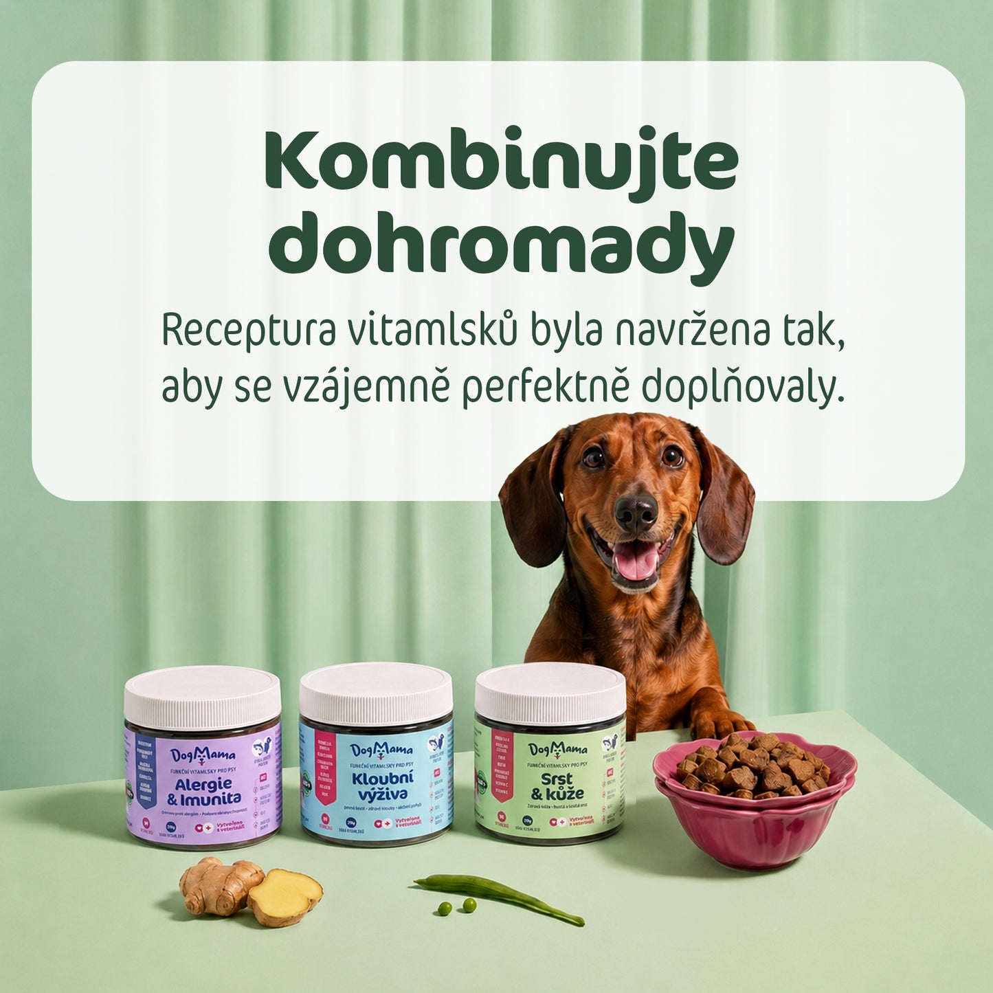 Sierść & Skóra