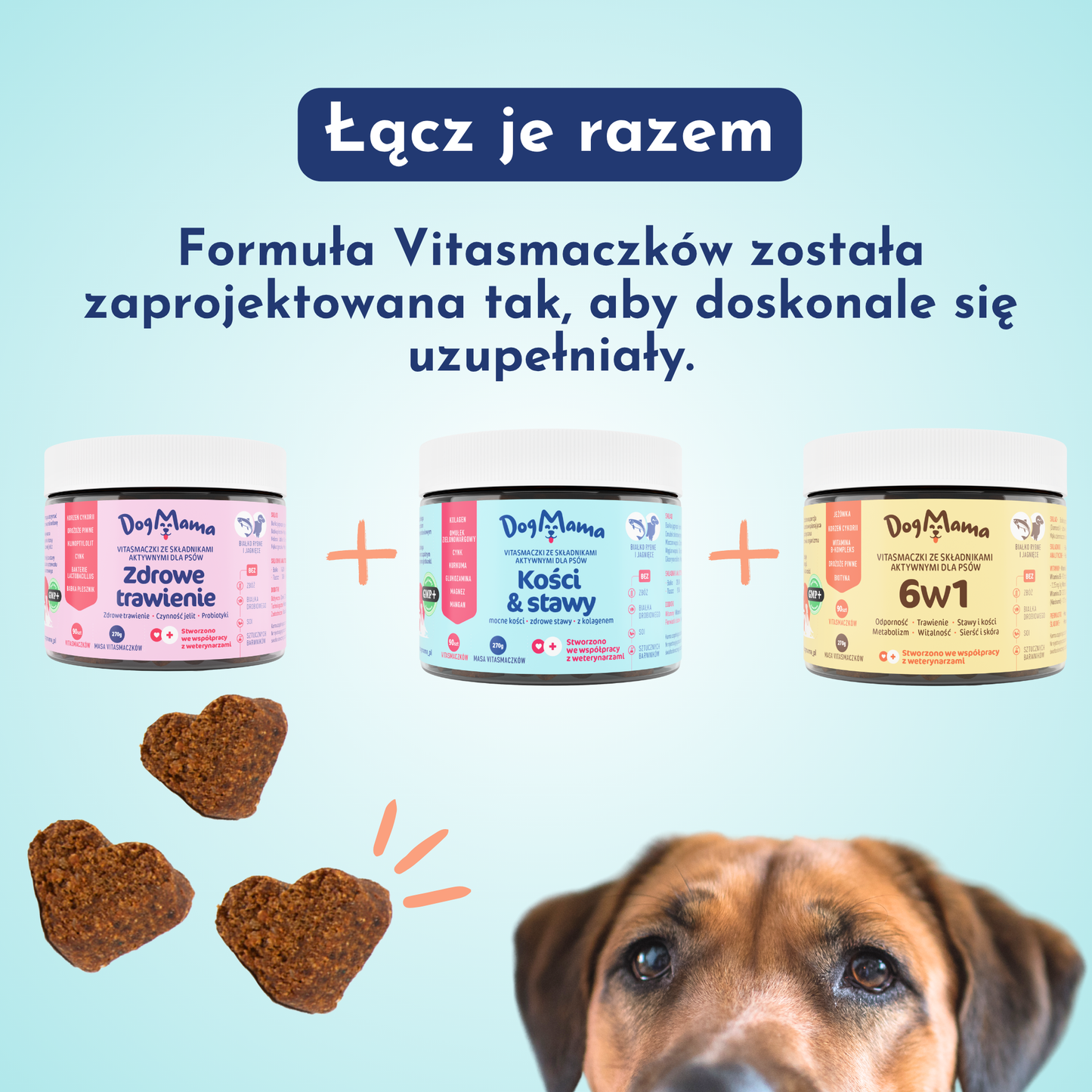 Stawy & Kości + Kolagen
