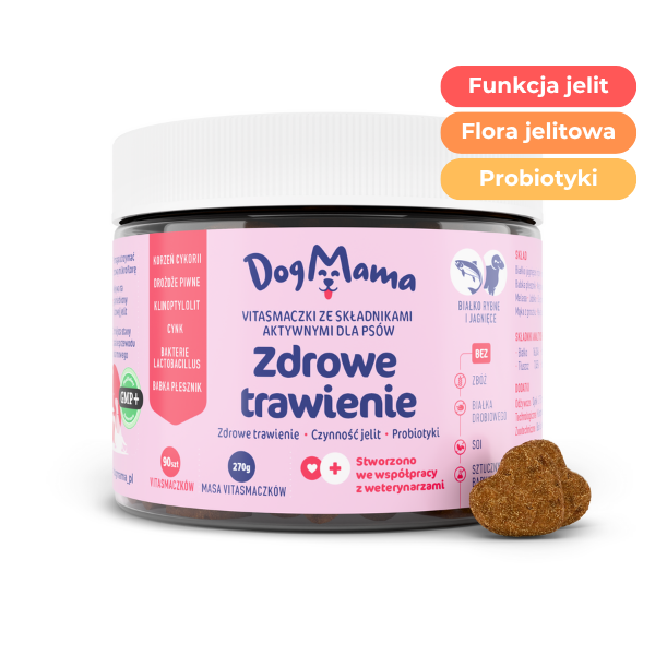 Zdrowe trawienie + Probiotyki