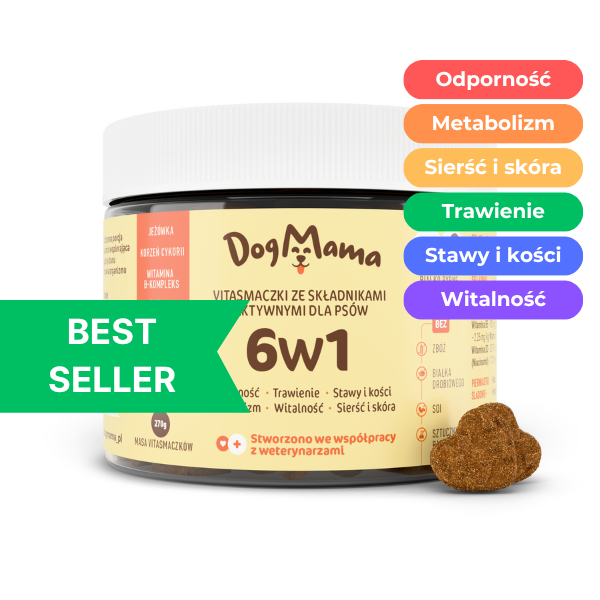 Multifunkcjonalne 6w1