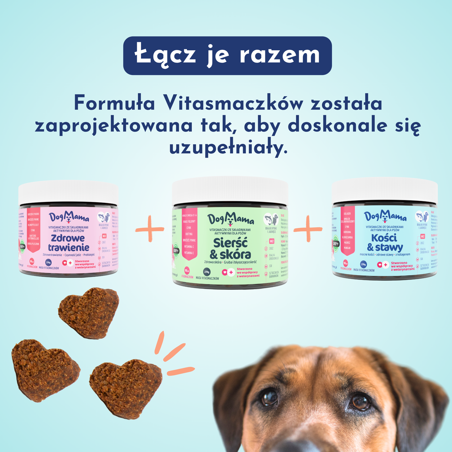 Sierść & Skóra