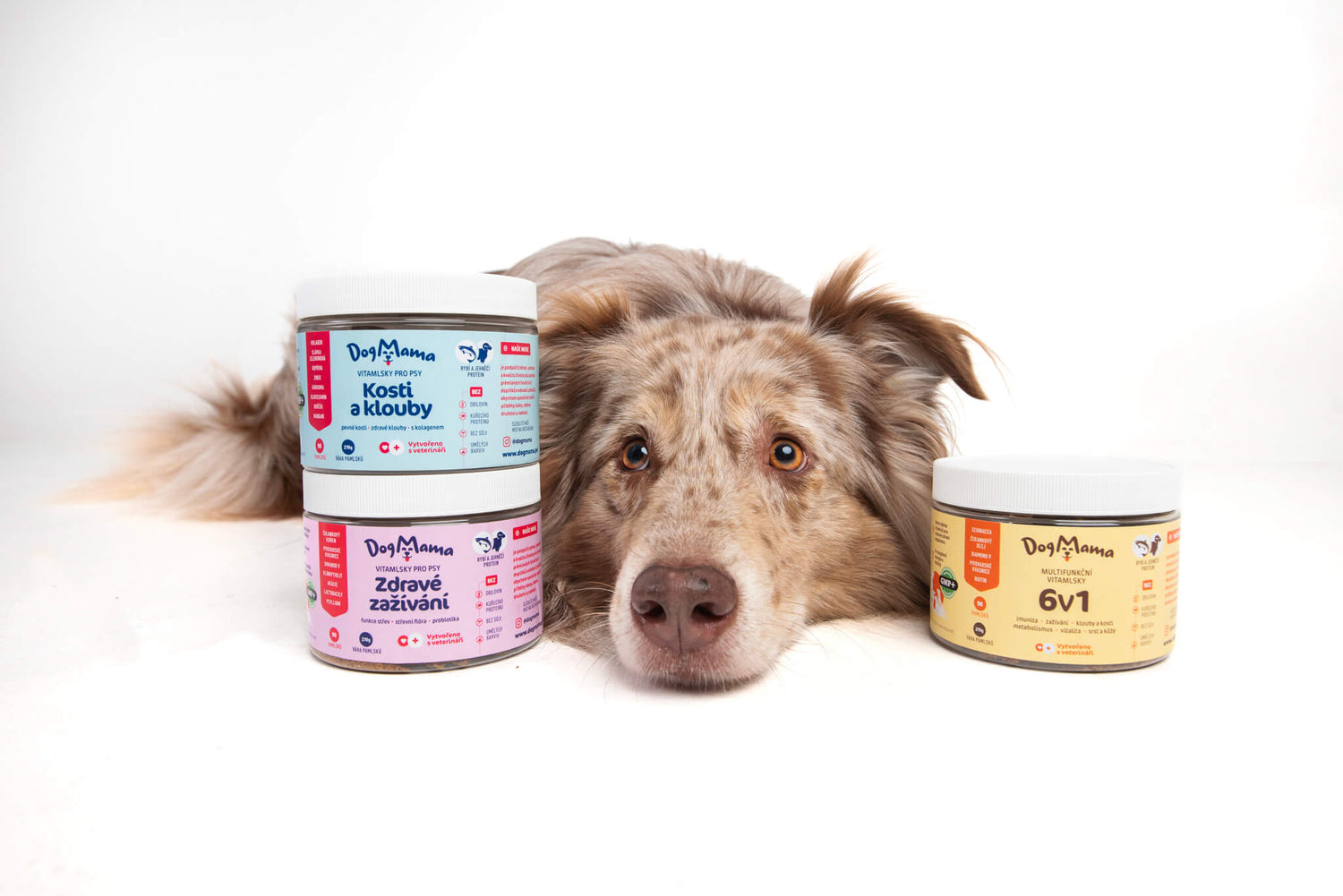 Wysokiej jakości dodatek dla zdrowia psów Vitasmaczki Dogmama od Veroniki Akimerlin