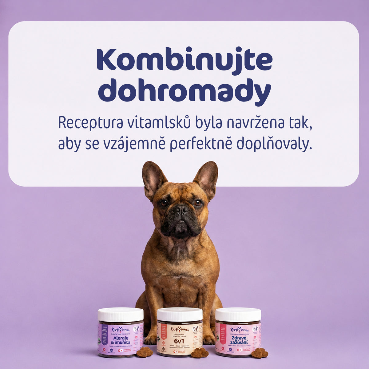 Alergie & Imunita