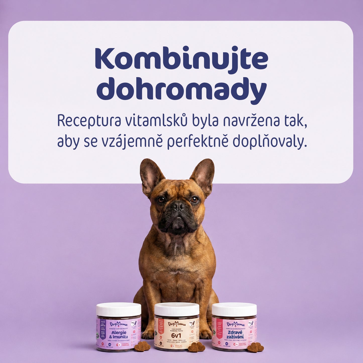Alergie & Imunita