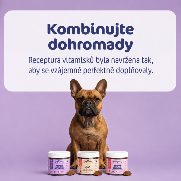 Alergie & Imunita