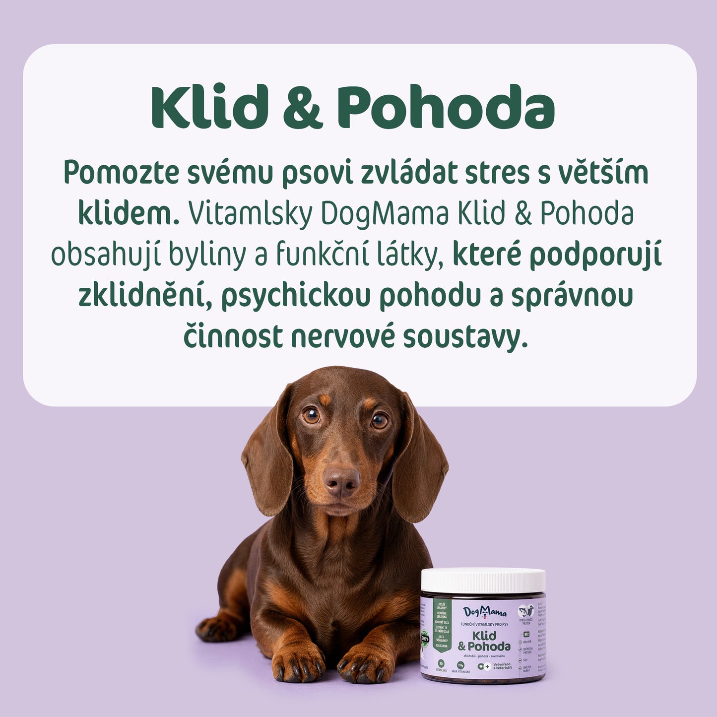 Spokój & Relaks