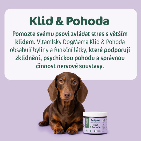 Spokój & Relaks