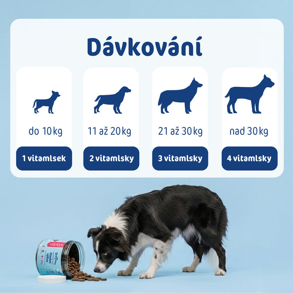 Kloubní výživa