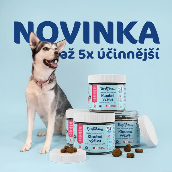 Kloubní výživa