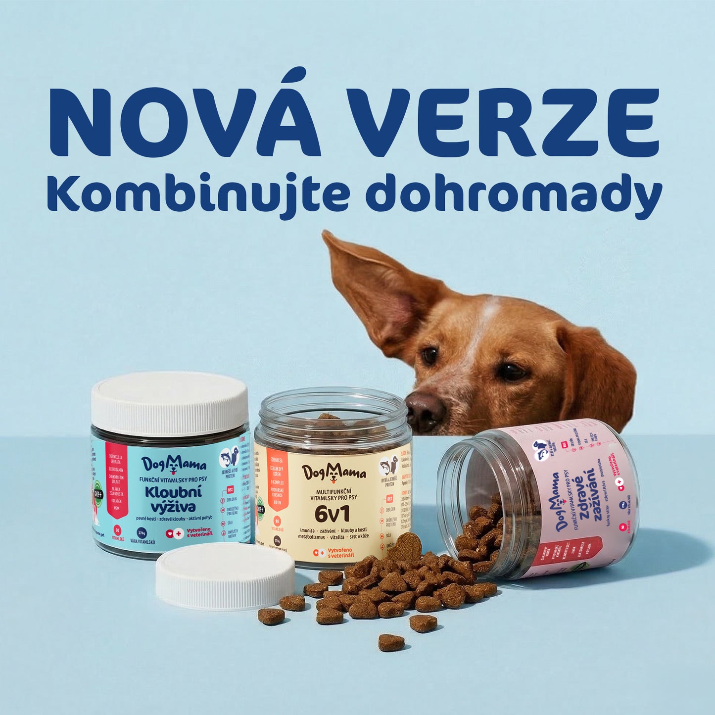 Kloubní výživa