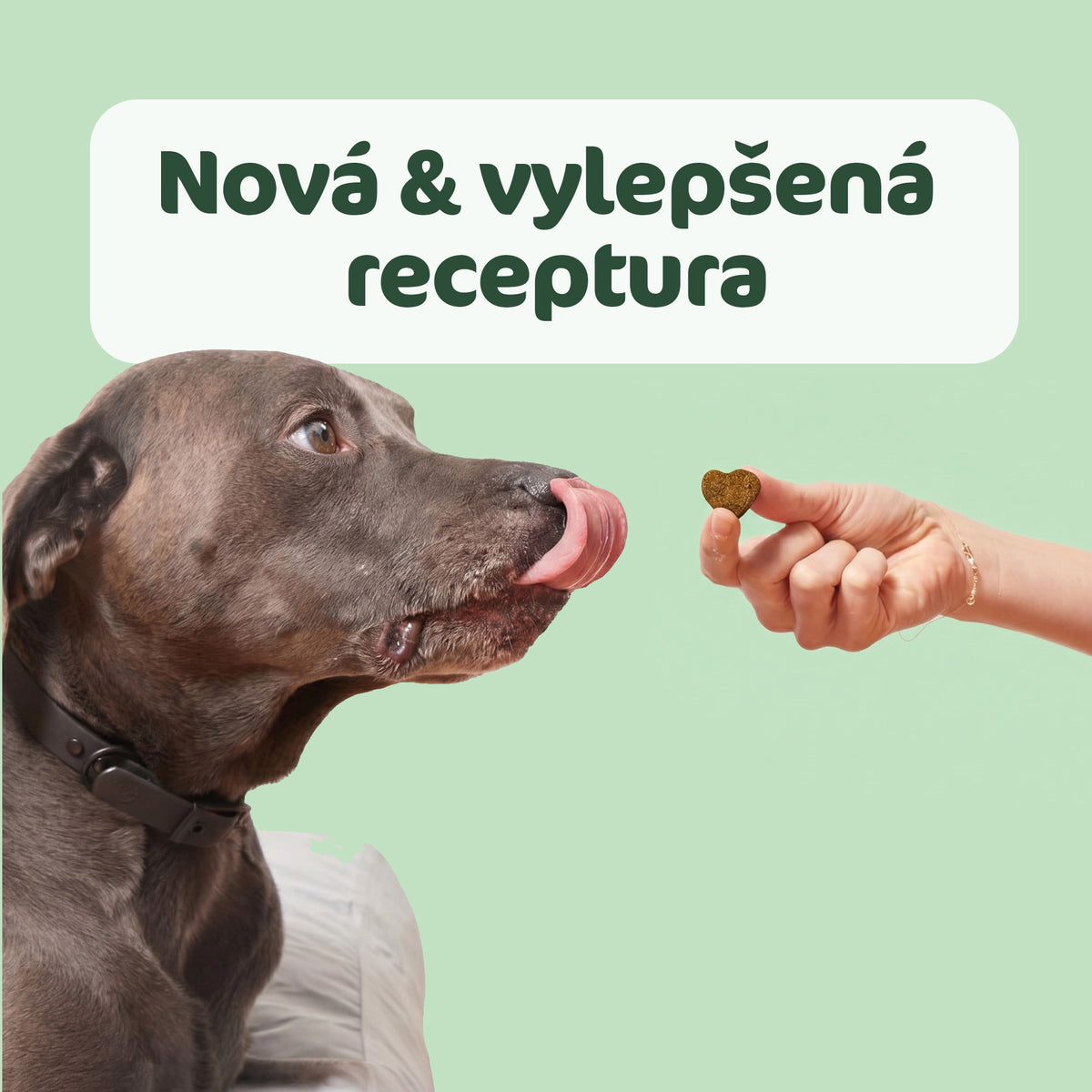 Sierść & Skóra