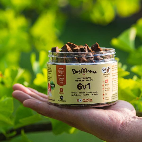 Multifunkcjonalne 6w1