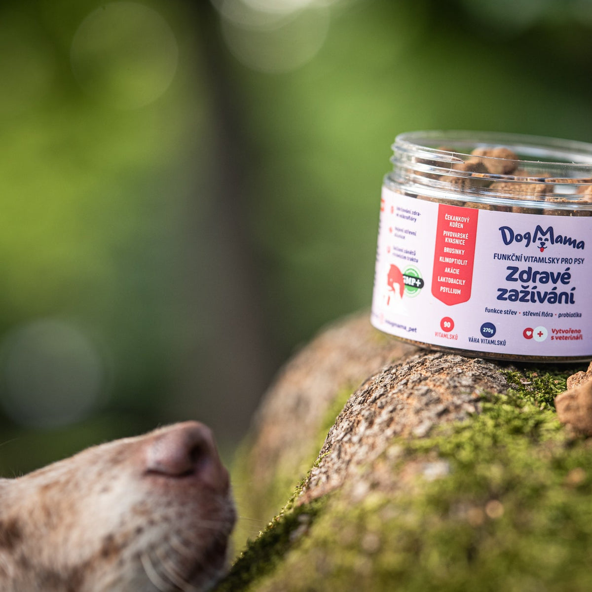 Zdrowe trawienie + Probiotyki