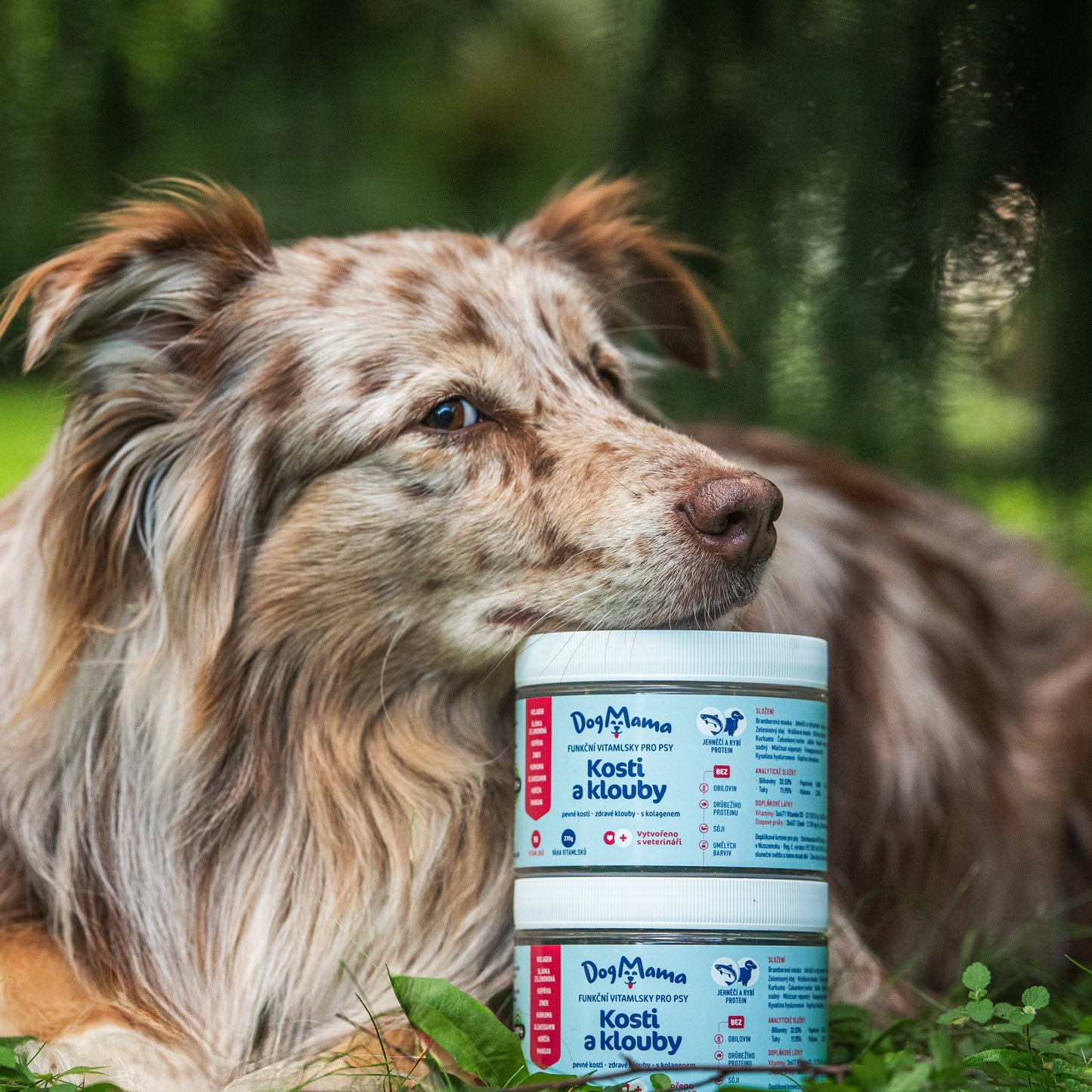 Stawy & Kości + Kolagen