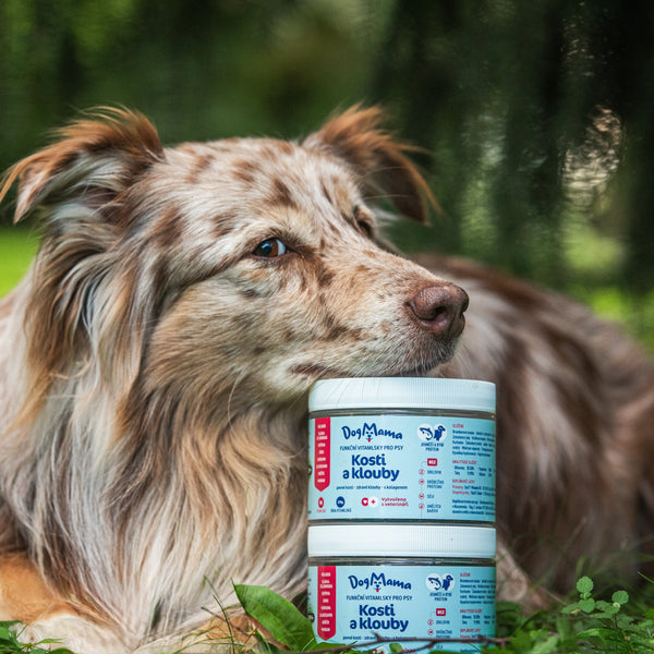 Stawy & Kości + Kolagen