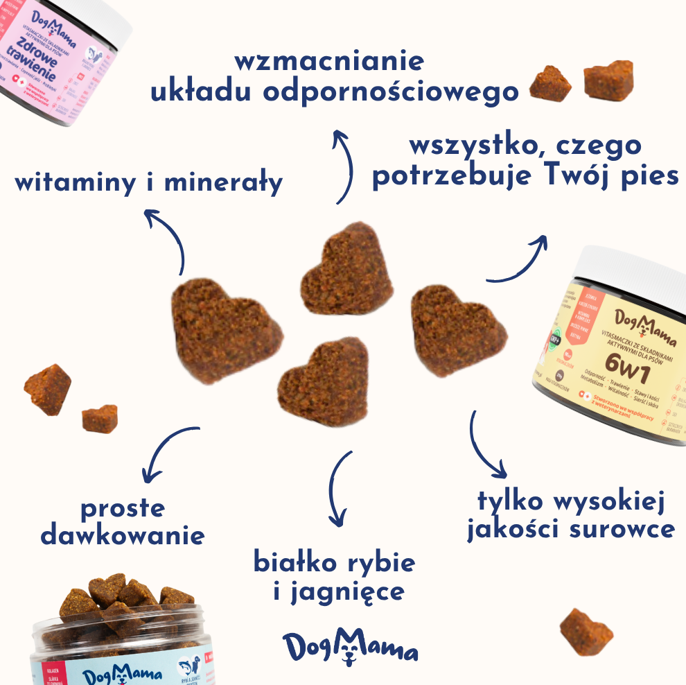 Zdrowe trawienie + Probiotyki