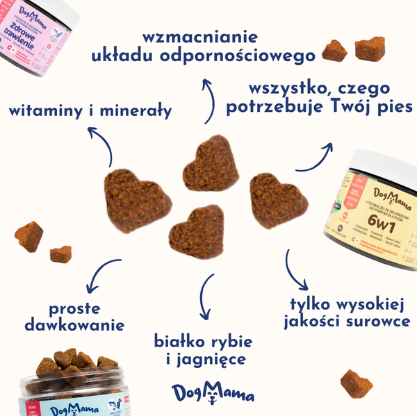 Zdrowe trawienie + Probiotyki