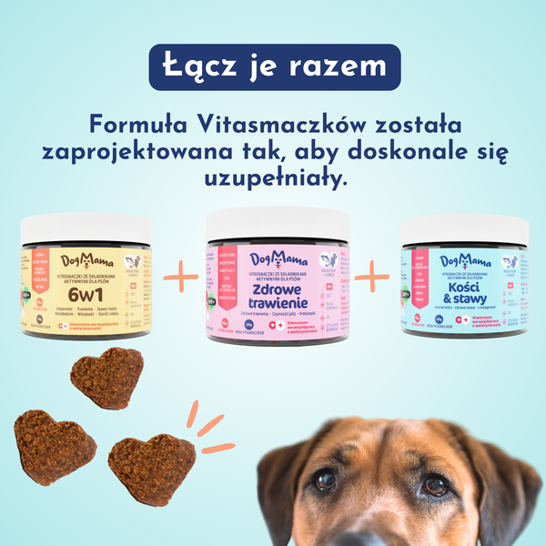 Zdrowe trawienie + Probiotyki