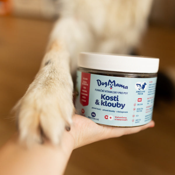 Stawy & Kości + Kolagen