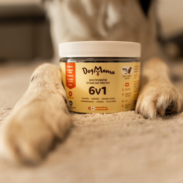 Multifunkcjonalne 6w1