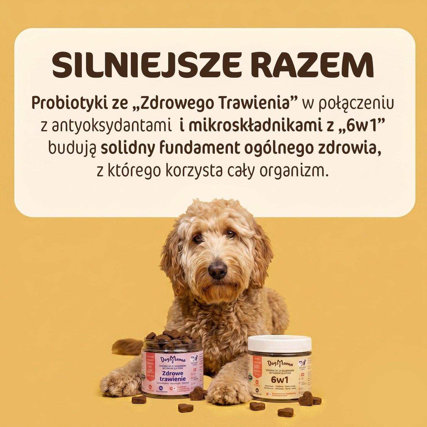 Zestaw stop jedzeniu trawy