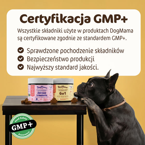 Zestaw stop jedzeniu trawy