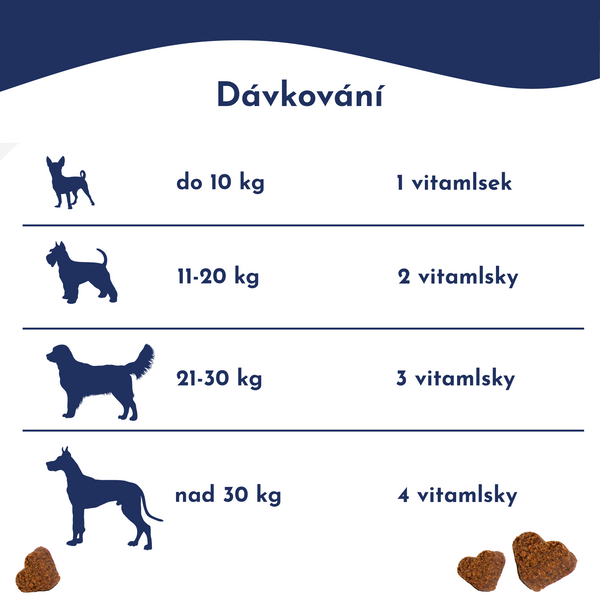 Zdrowe trawienie + Probiotyki