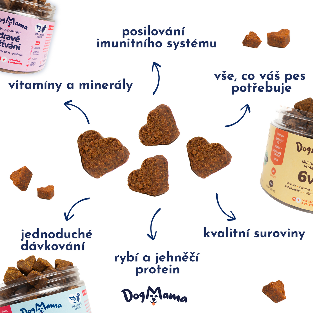 Zdrowe trawienie + Probiotyki
